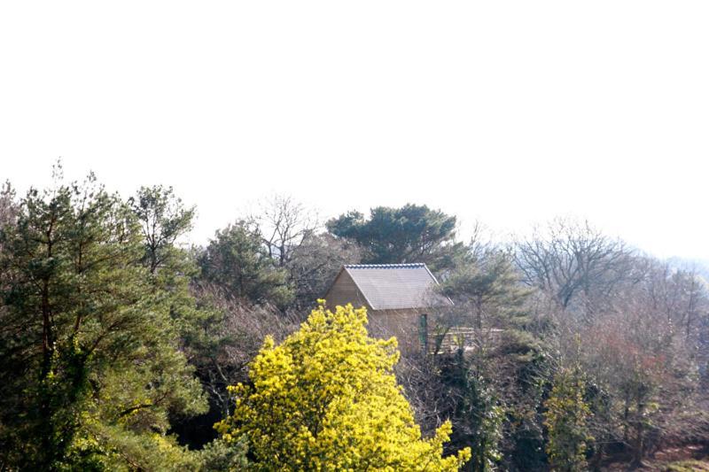 Villa La Carri'Air Pont-Aven Esterno foto