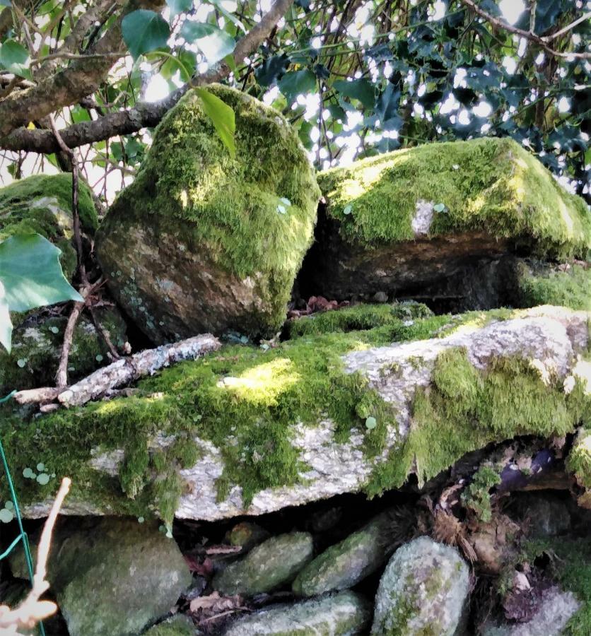 Villa La Carri'Air Pont-Aven Esterno foto